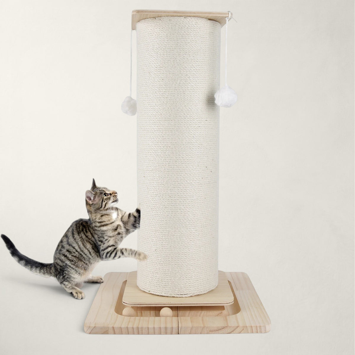 Griffoir chat design
