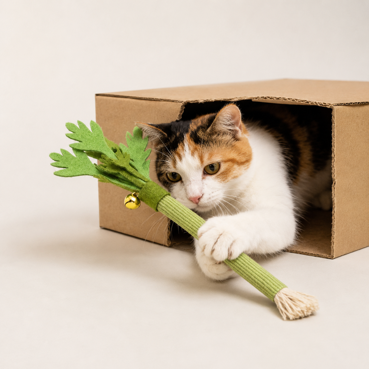 Jouet céleri à mâcher pour chat