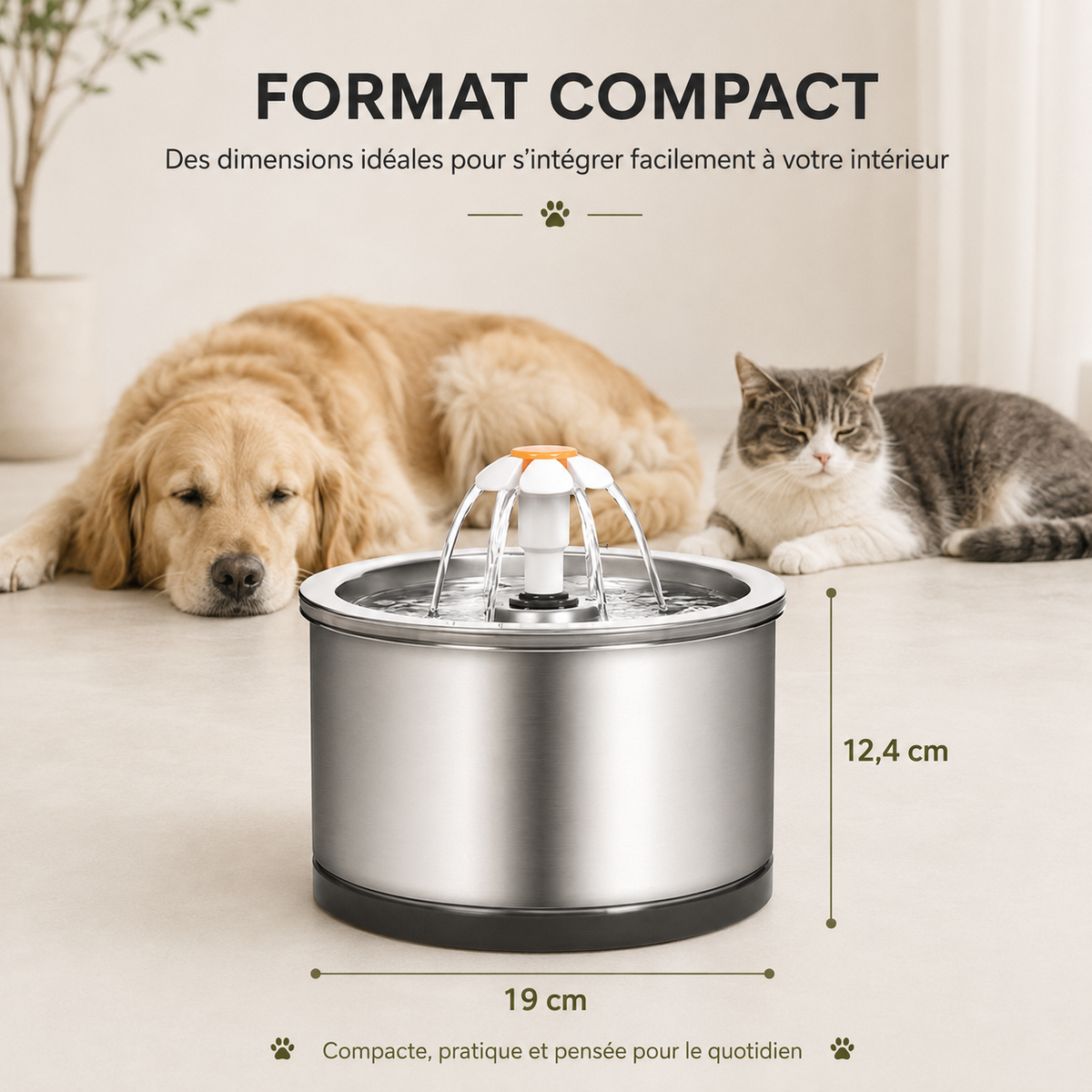 Fontaine à eau chat inox et fleur 2L