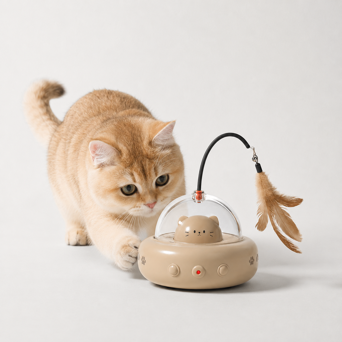 Jeu pour chat automatique avec laser