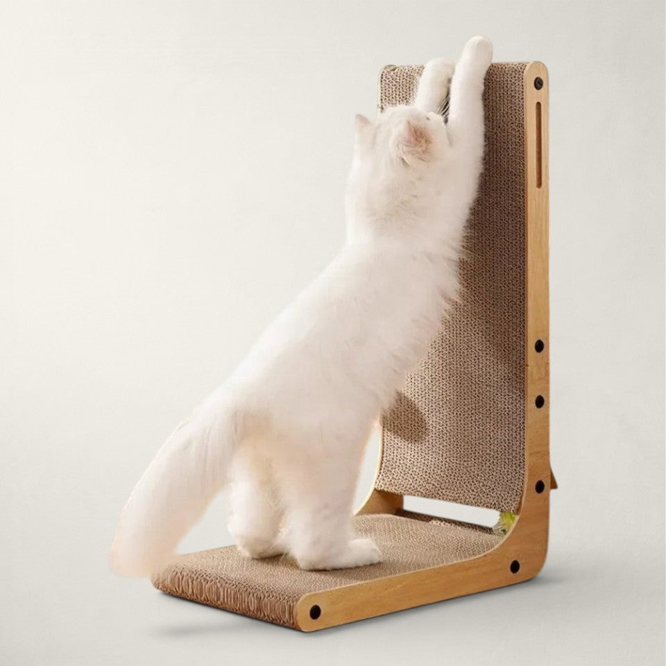 Griffoir chat carton