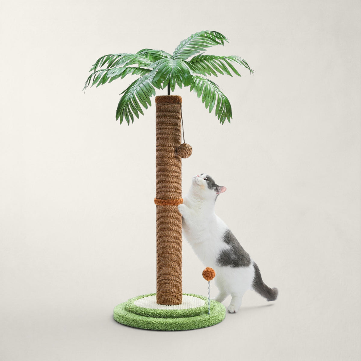 Griffoir à chat design