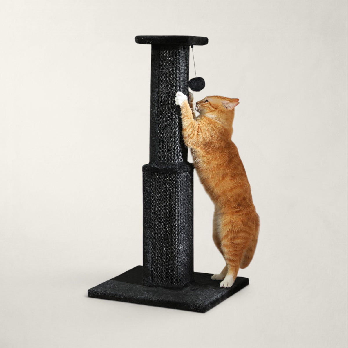 Poteau griffoir chat
