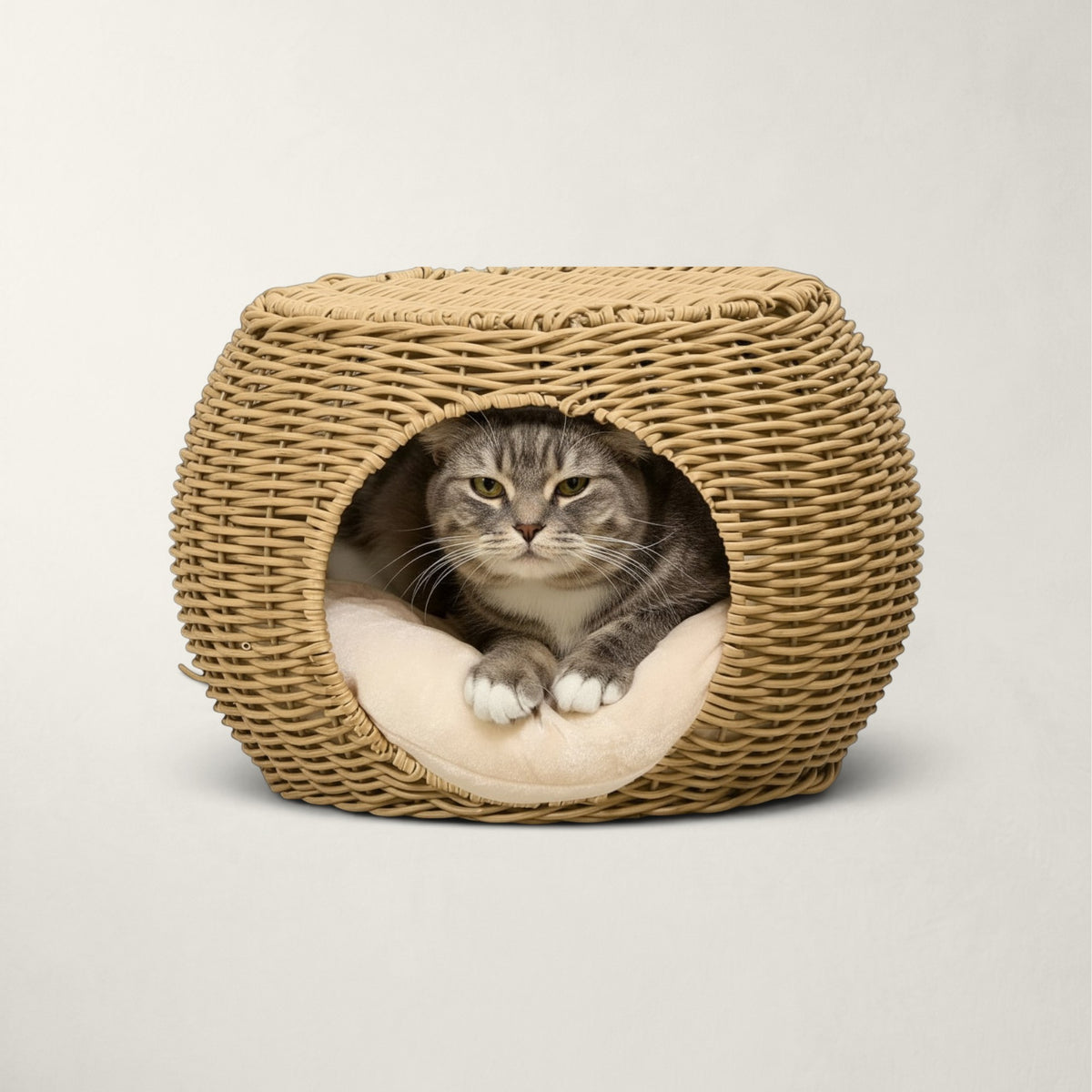 Niche pour chat intérieur