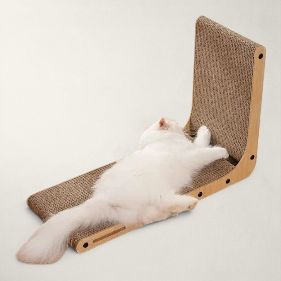 Griffoir chat carton