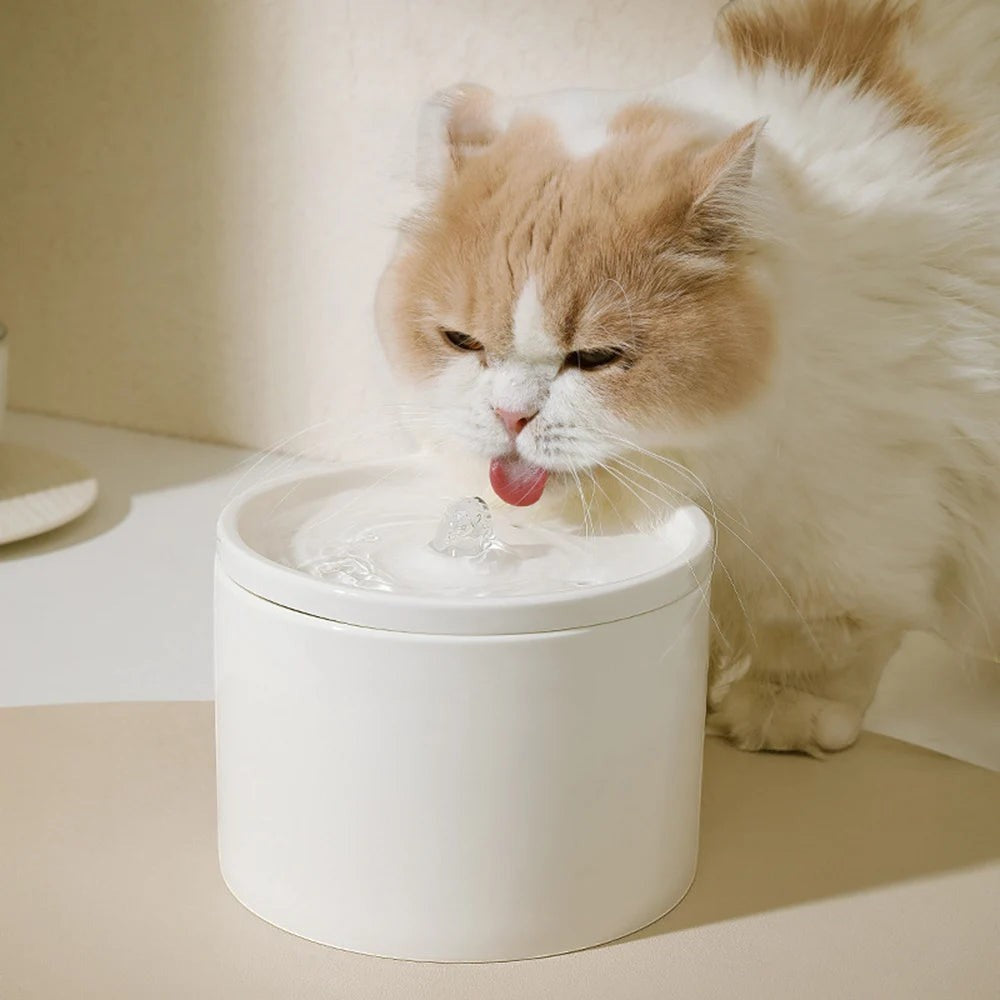 FILTRES Fontaine à eau chat céramique