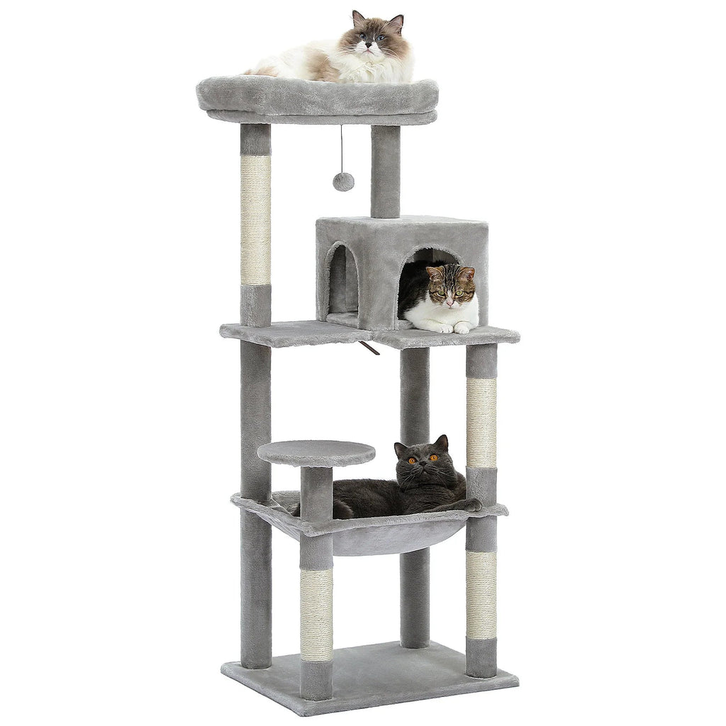 Arbre à chat spécial Maine Coon - Bofélin - 16