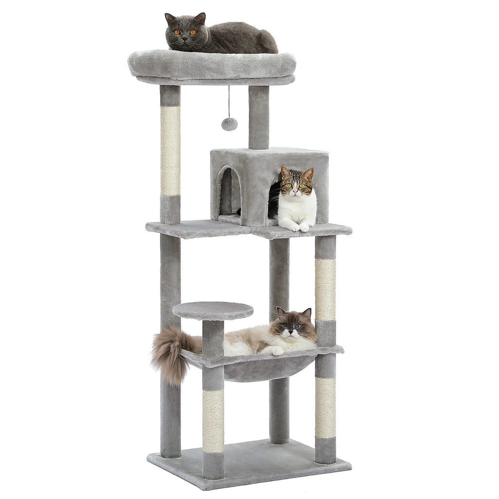 Arbre à chat spécial Maine Coon - Bofélin - 9