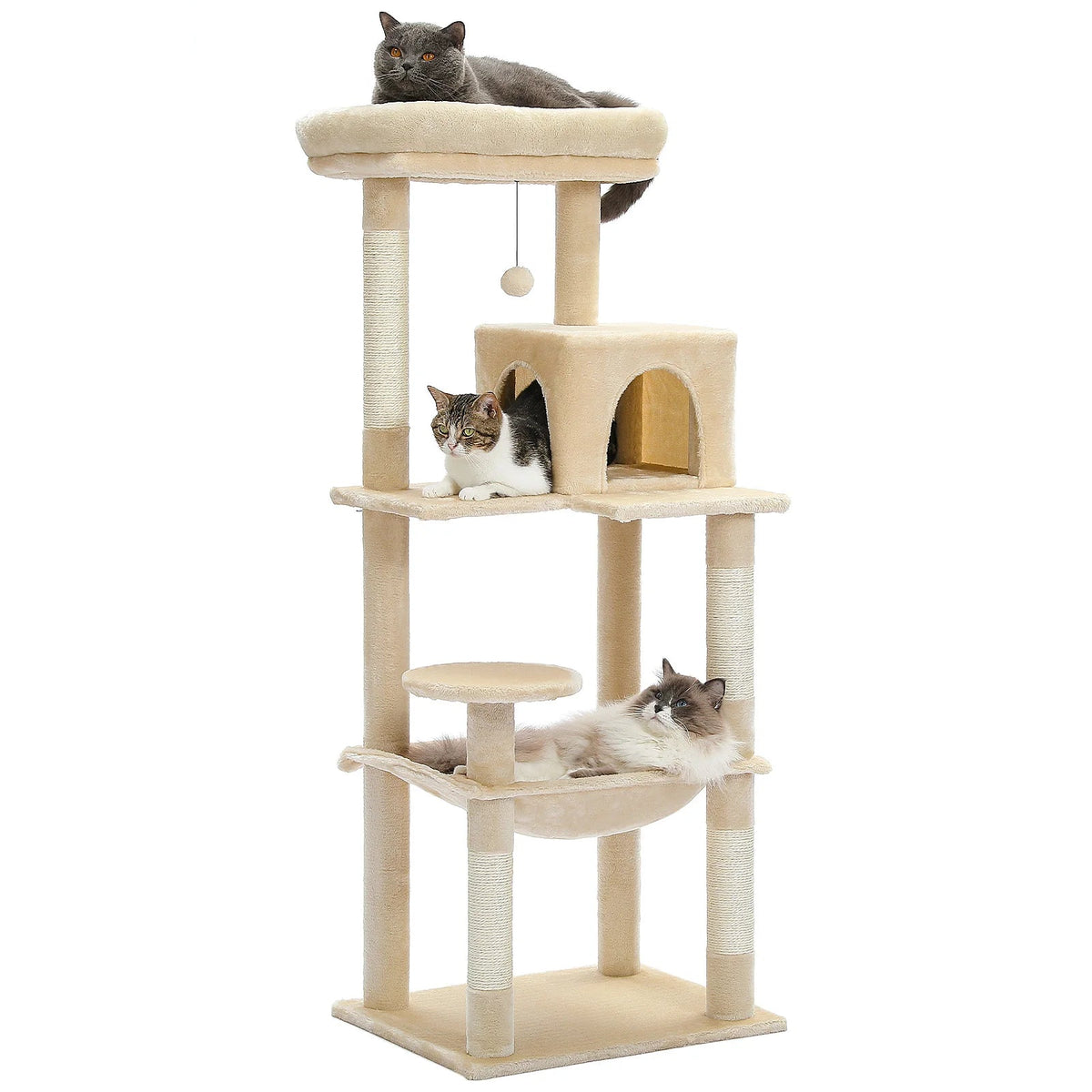 Arbre à chat spécial Maine Coon