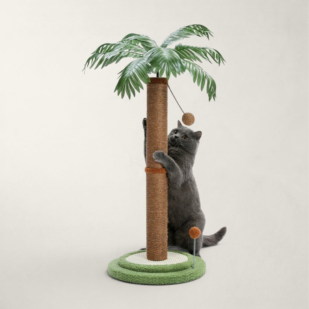 Griffoir à chat design