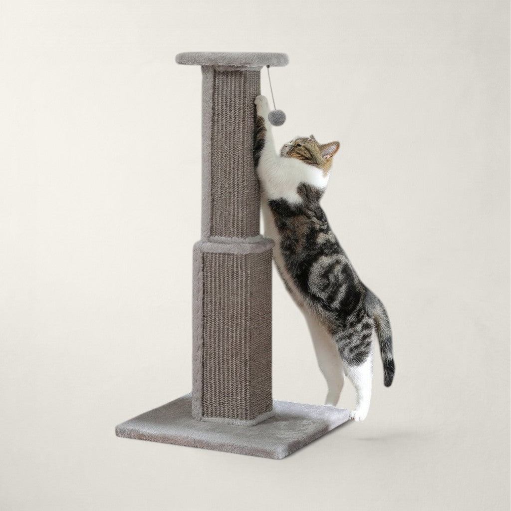 Poteau griffoir chat