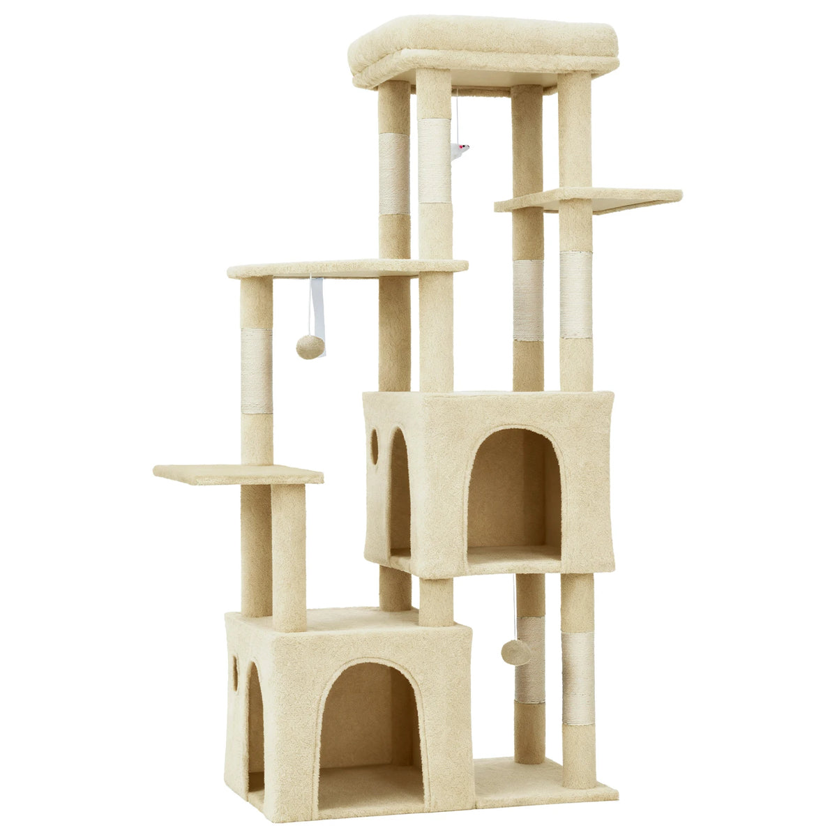 Maine coon arbre à chat