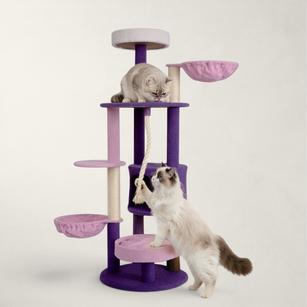 Grand arbre à chat rond - Bofélin - 10