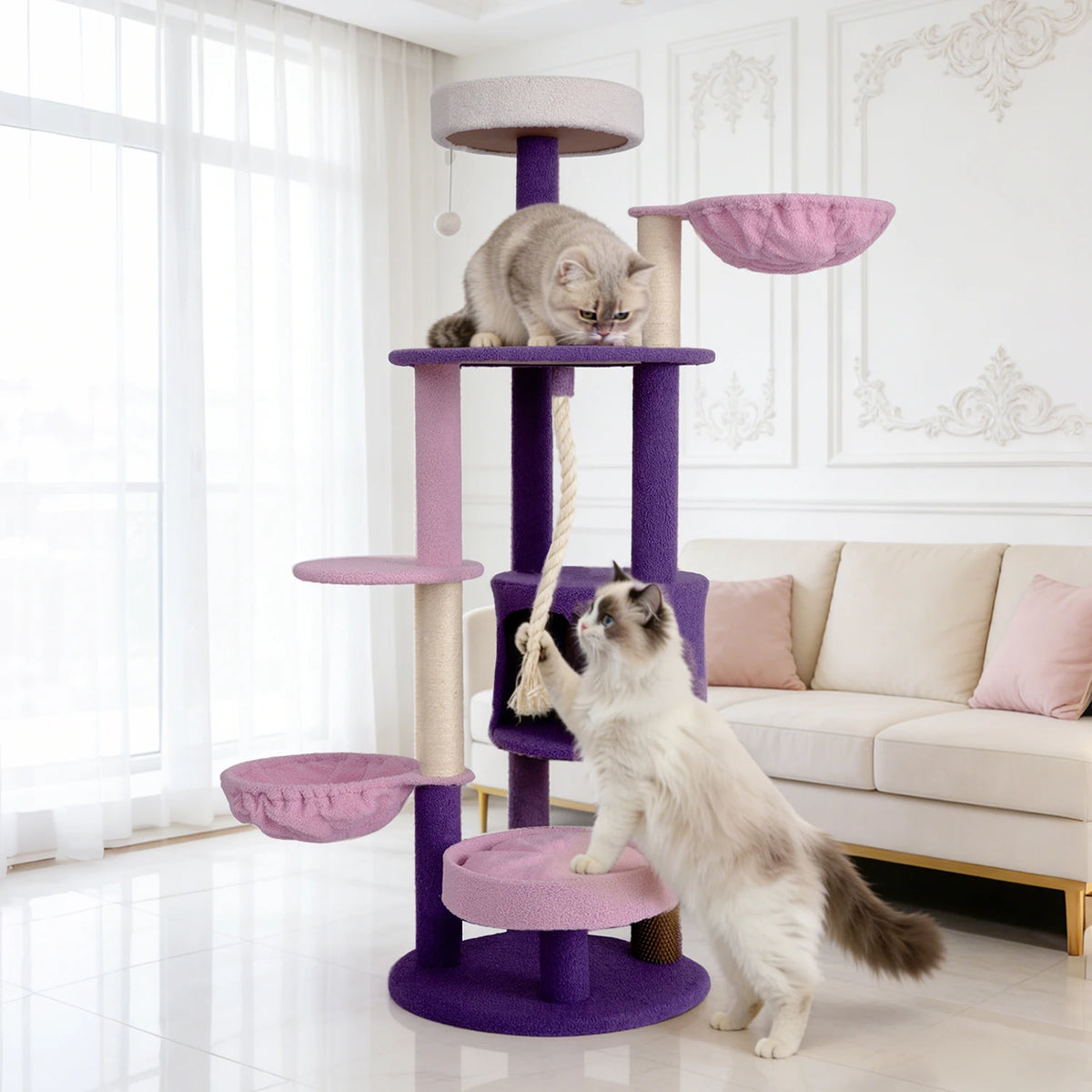 Grand arbre à chat rond