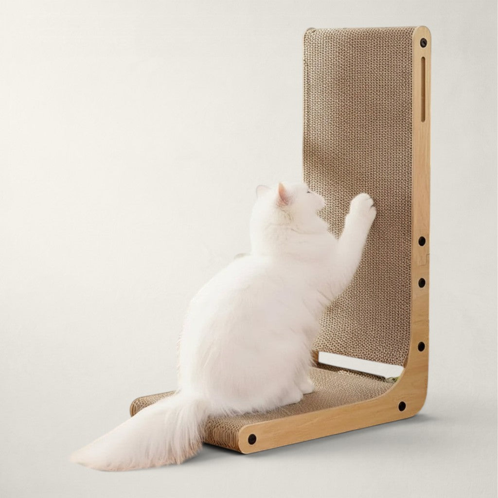 Griffoir chat carton