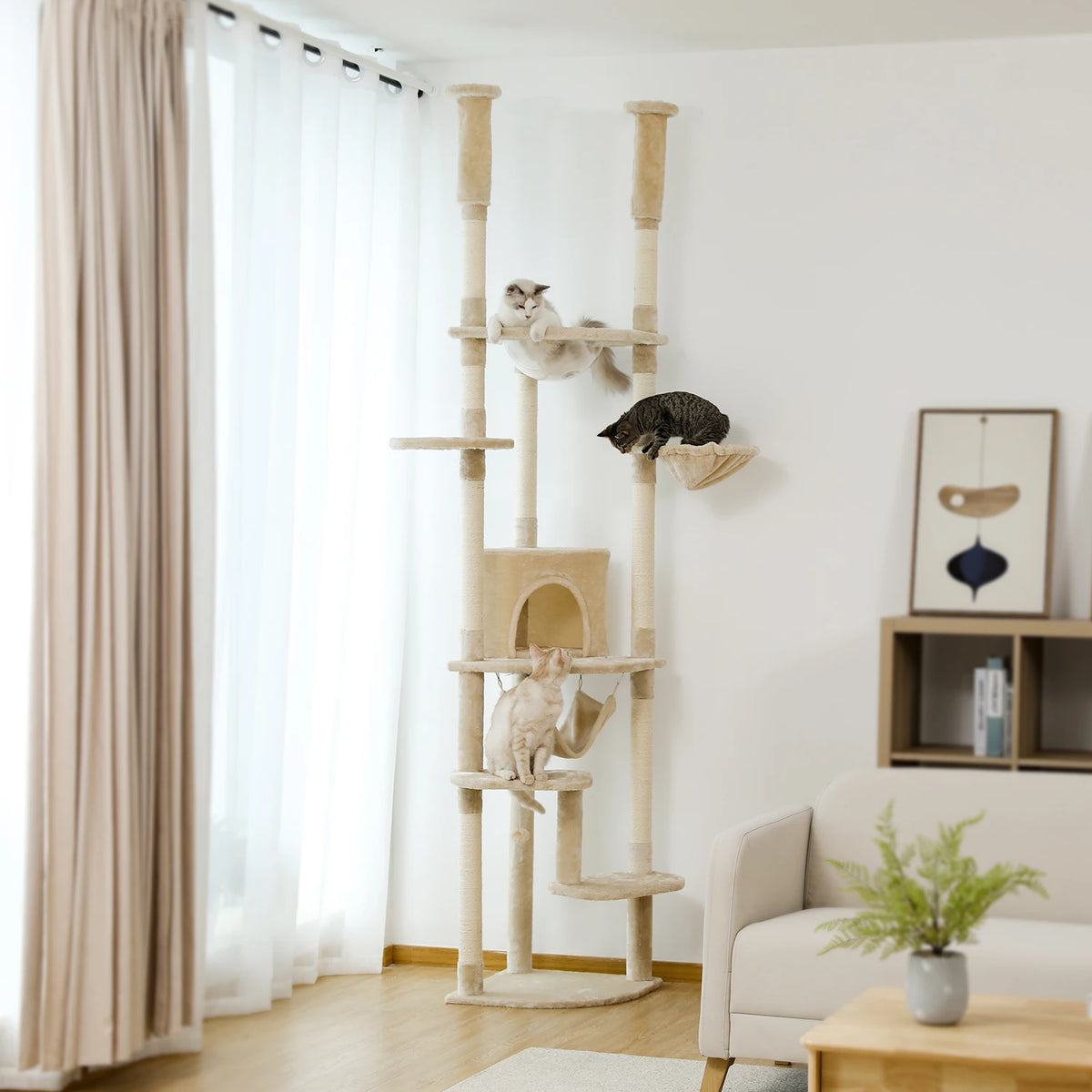Arbre à chat angle hauteur plafond