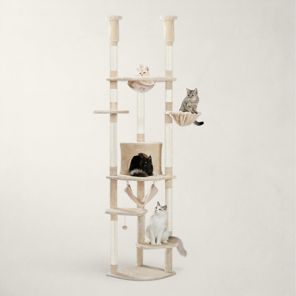 Arbre à chat angle hauteur plafond - Bofélin - 18