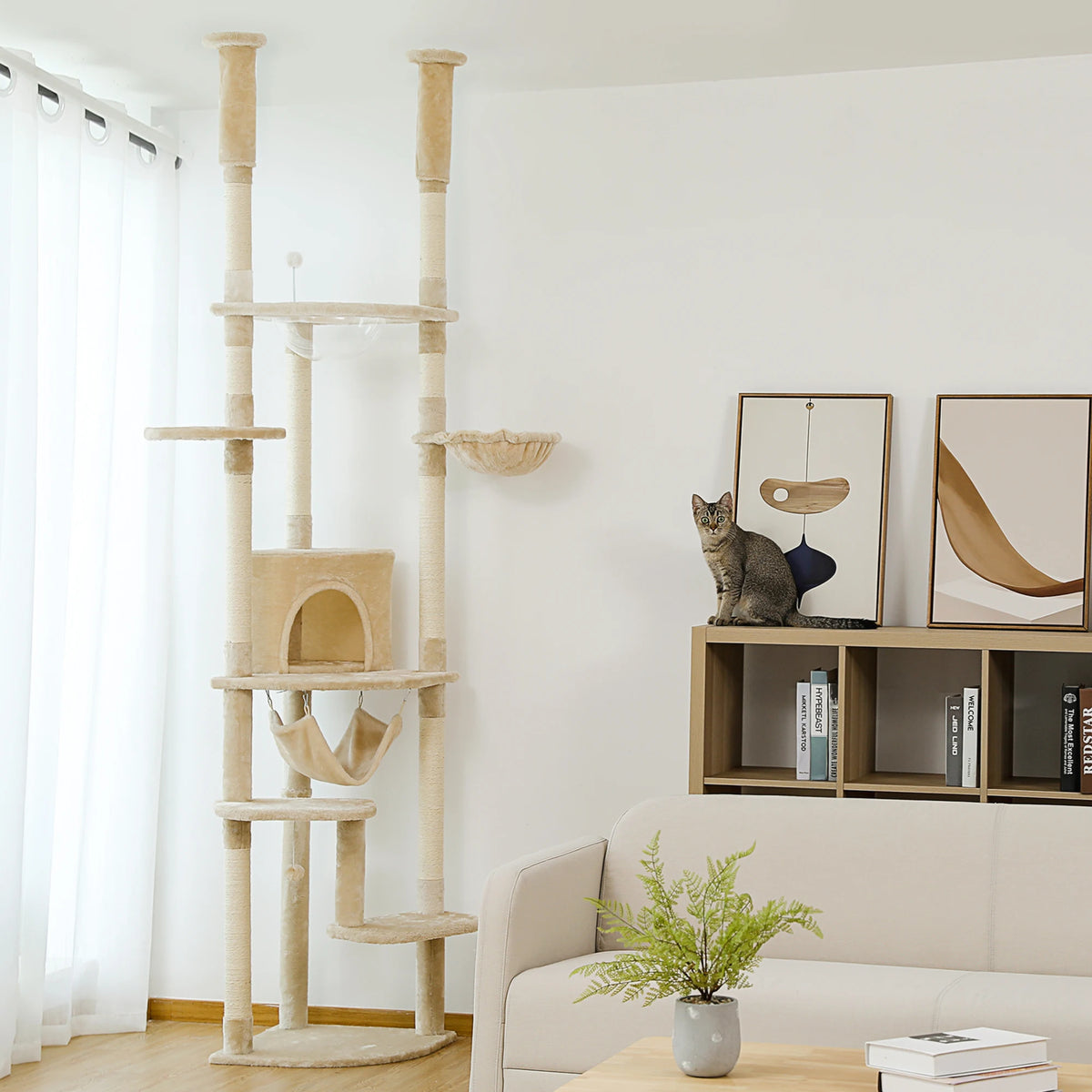 Arbre à chat angle hauteur plafond