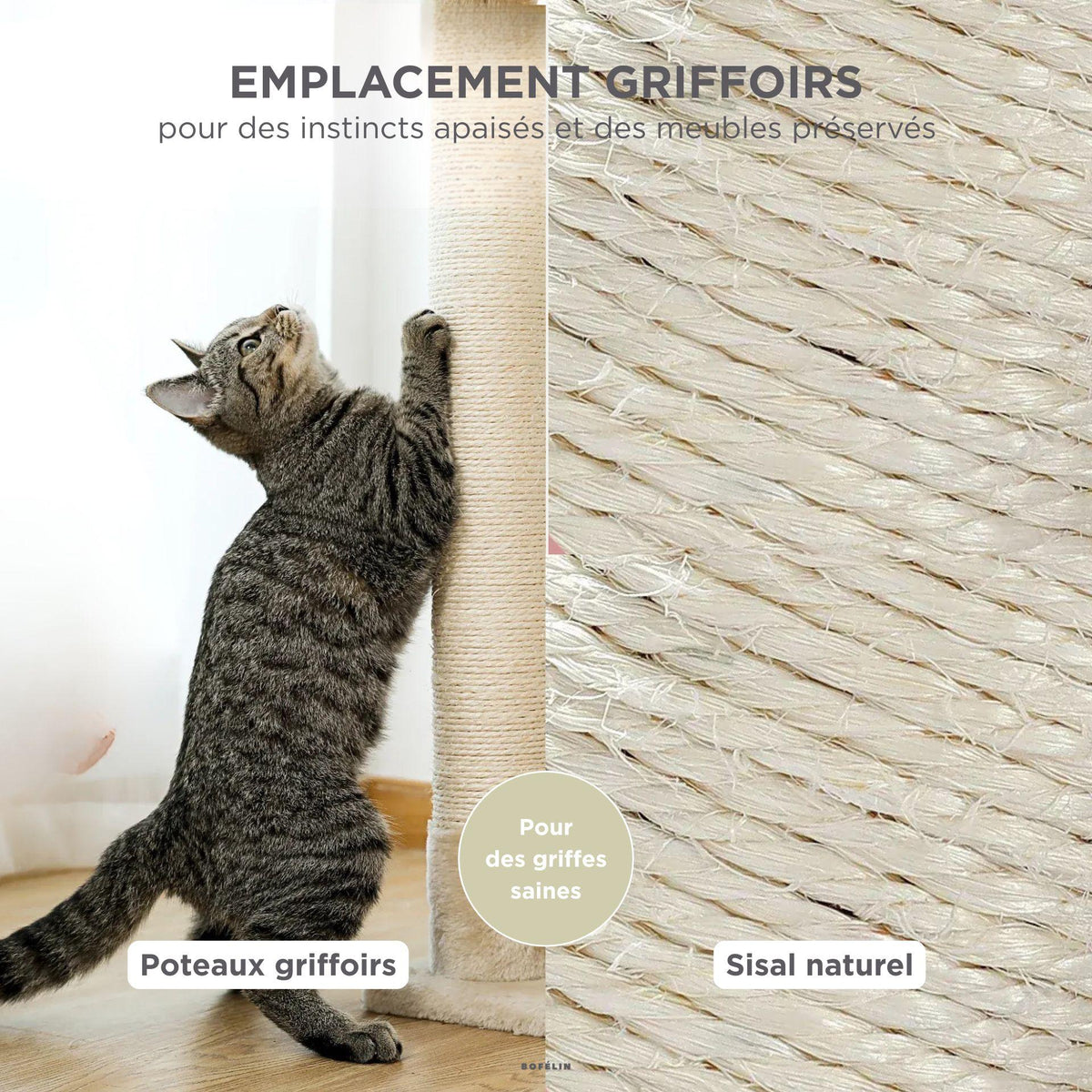 Arbre à chat angle hauteur plafond