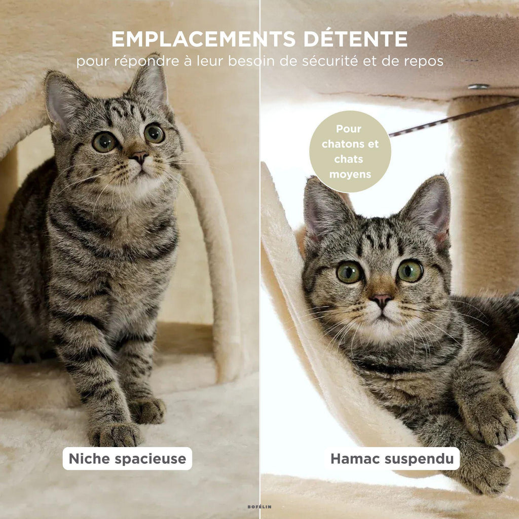 Arbre à chat angle hauteur plafond - Bofélin - 8