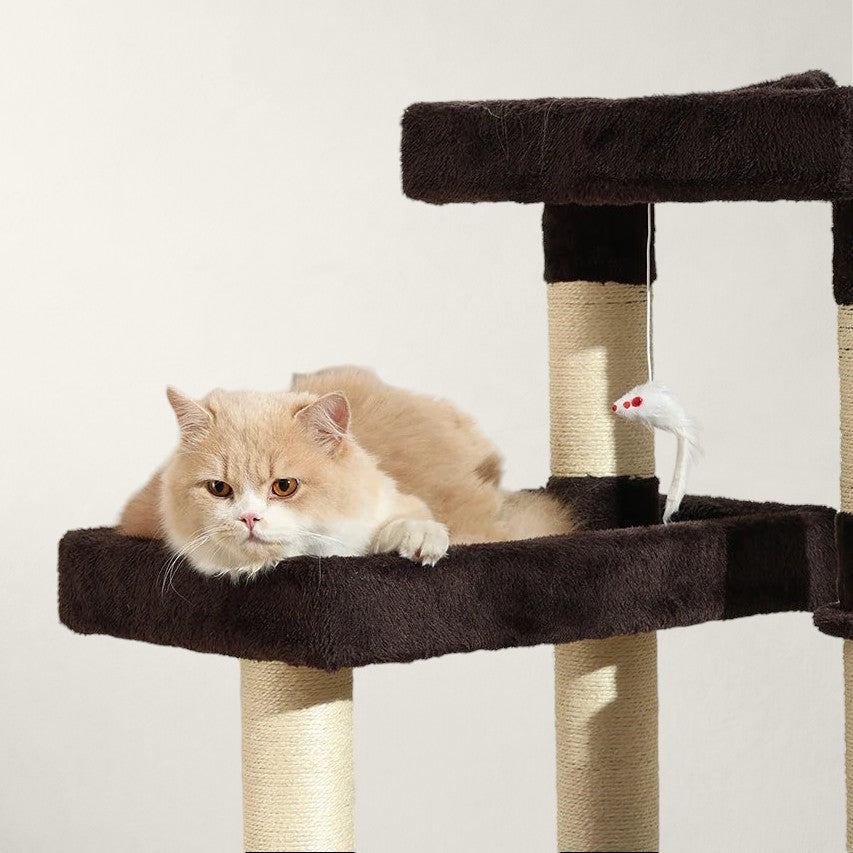 Arbre à chat avec grandes plateformes - Bofélin - 4