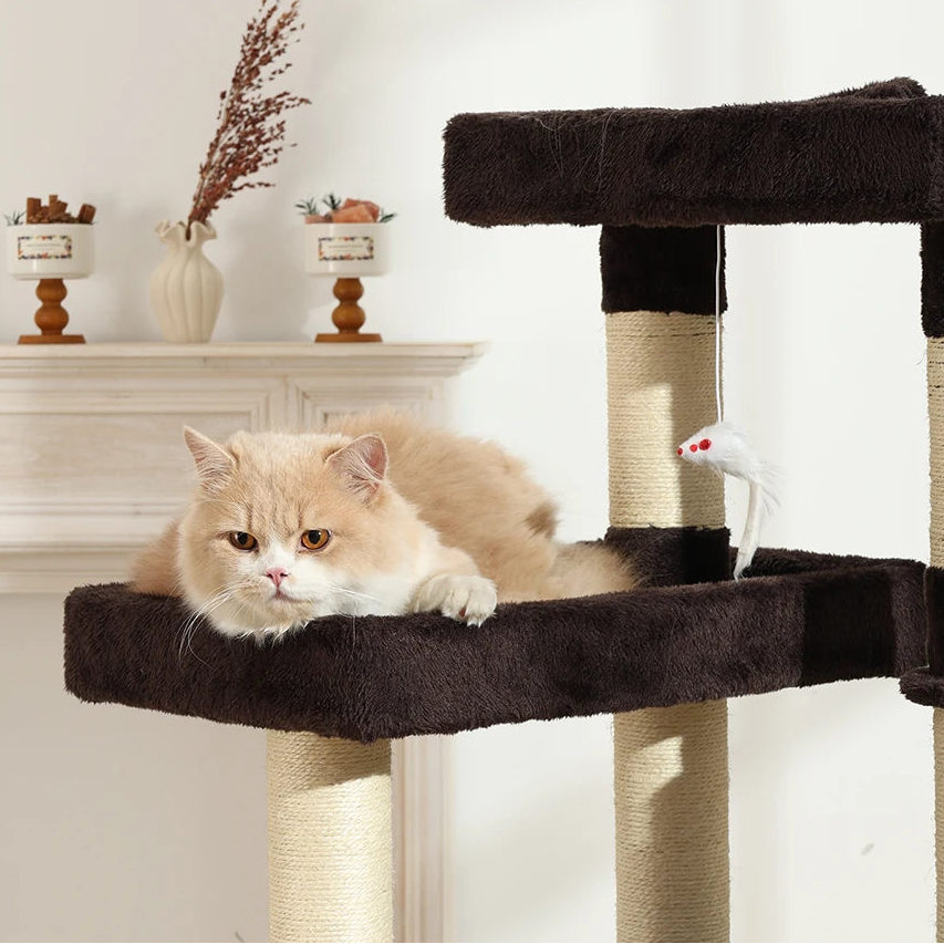 Arbre à chat avec grandes plateformes