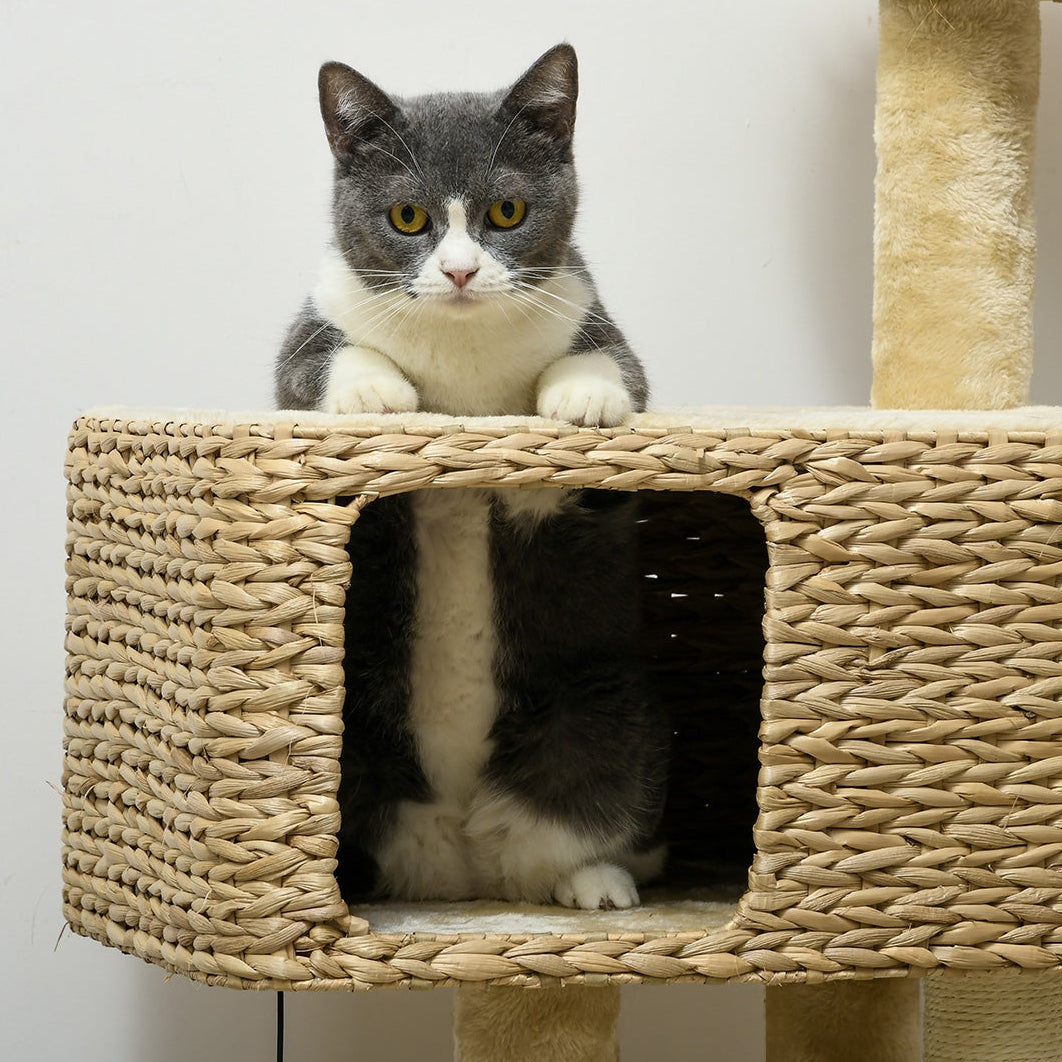 Arbre à chat bois esprit scandinave