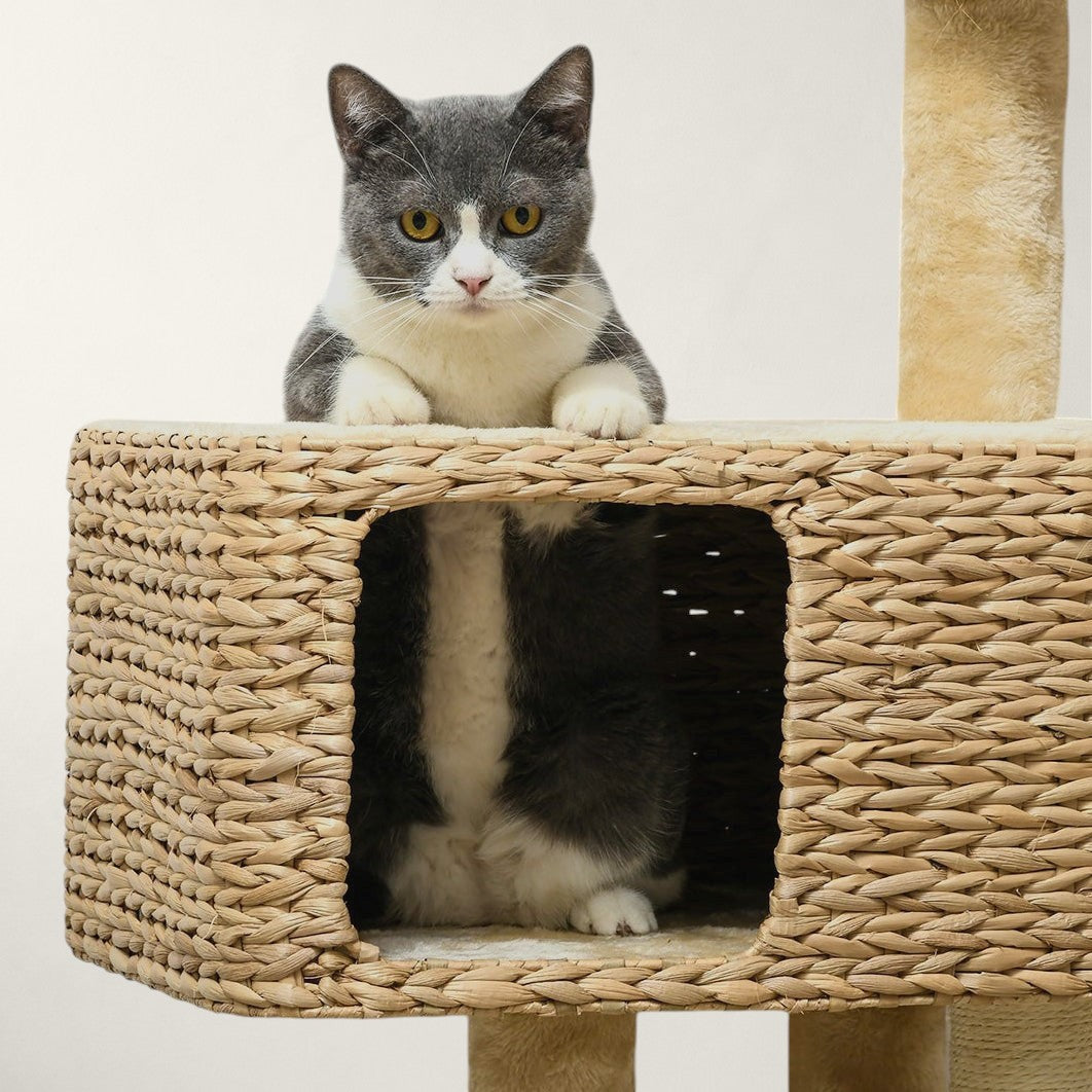 Arbre à chat bois esprit scandinave - Bofélin - 5