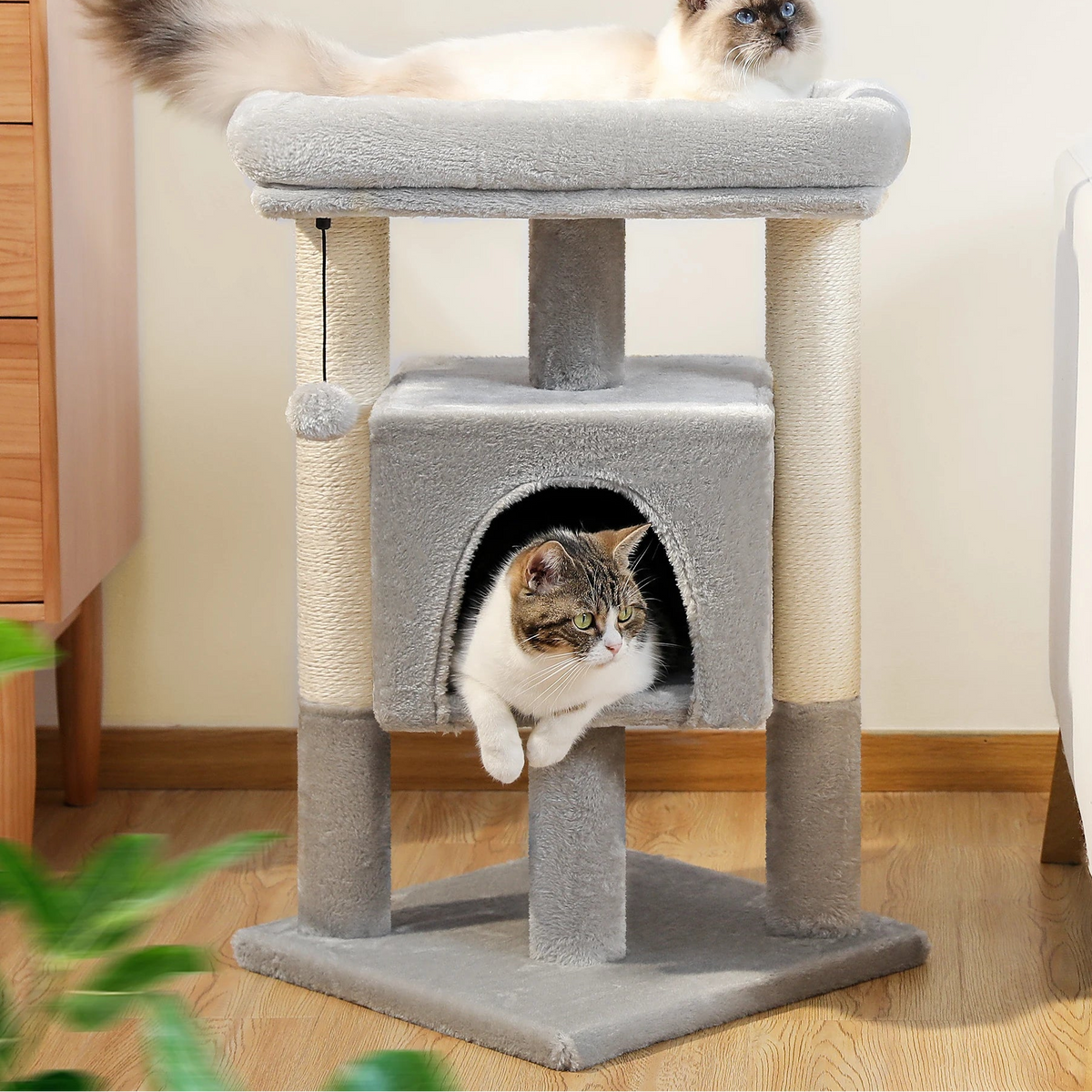 Arbre à chat d'angle petit espace