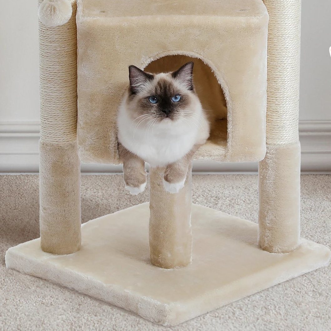 Arbre à chat d'angle petit espace