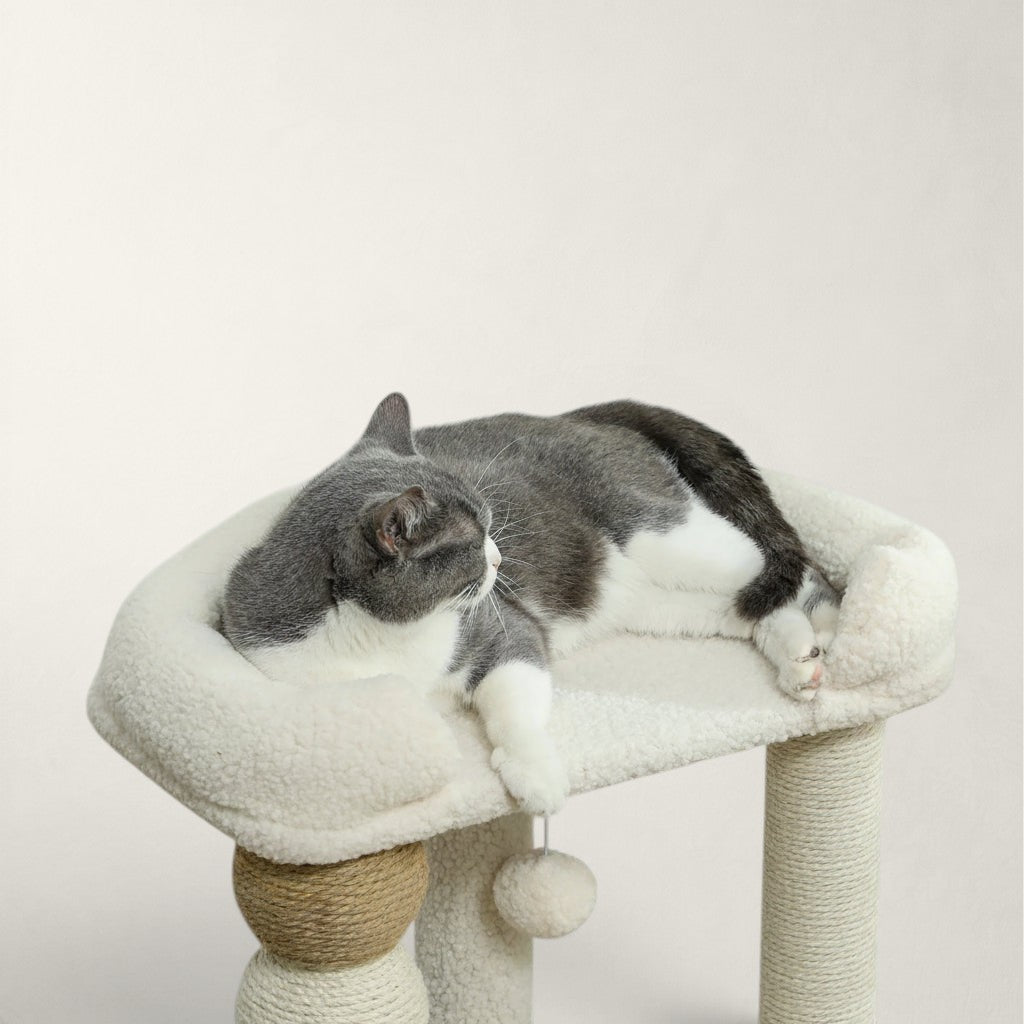 Arbre à chat design compact - Bofélin - 3