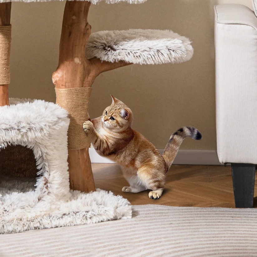 Arbre à chat design douceur