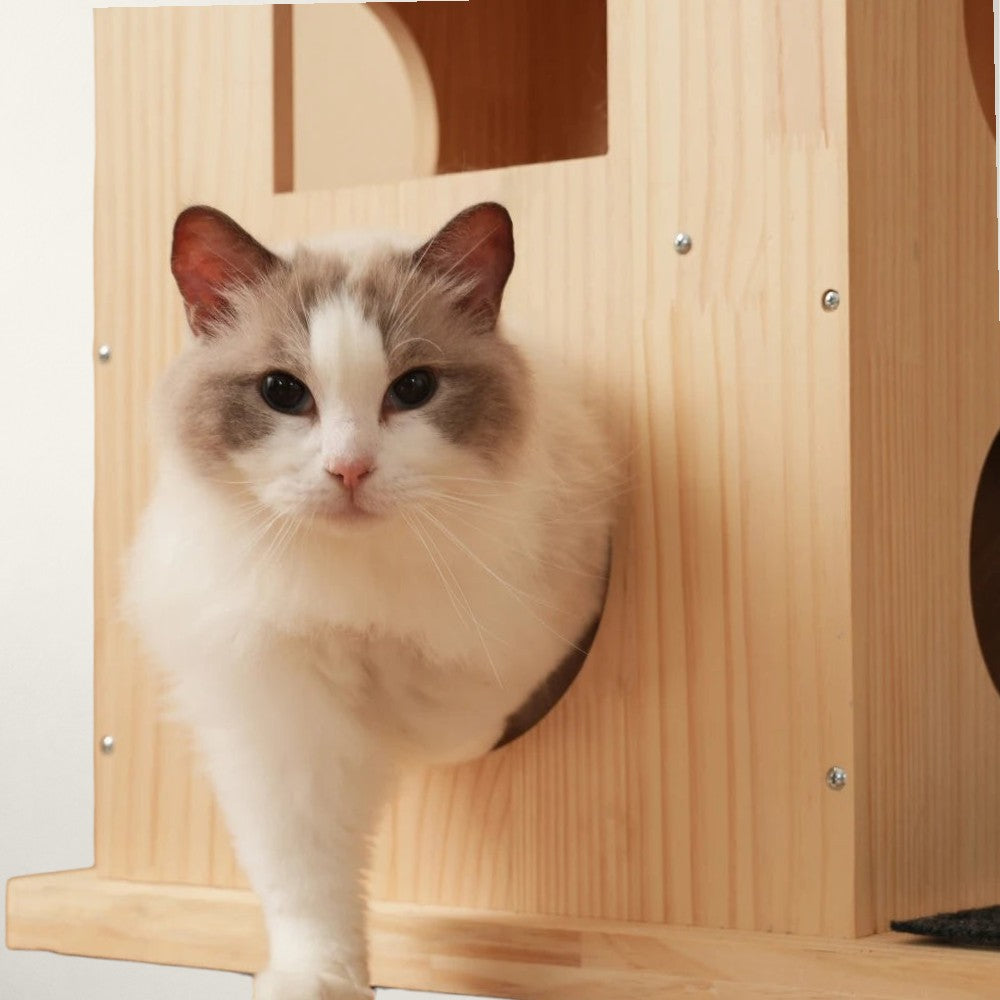 Arbre à chat design maison - Bofélin - 4