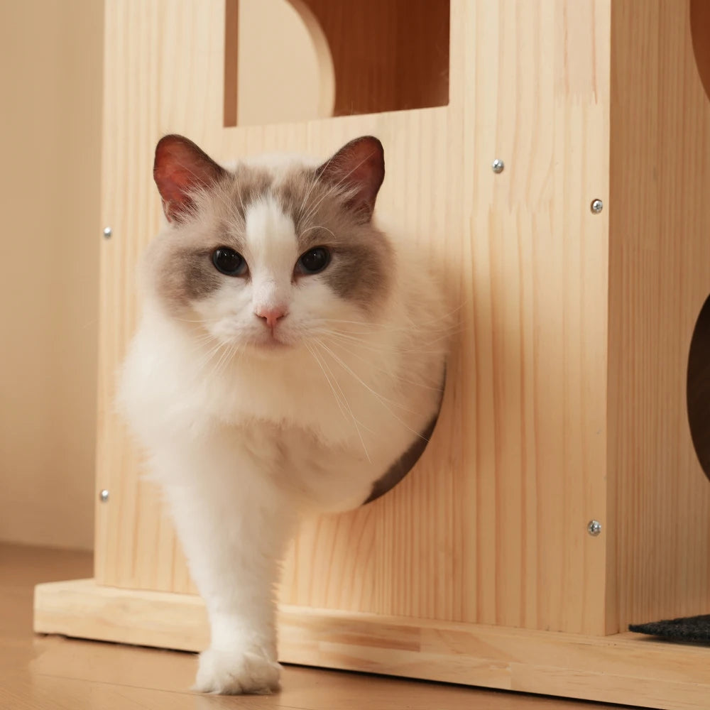 Arbre à chat design maison - Bofélin - 4 Image