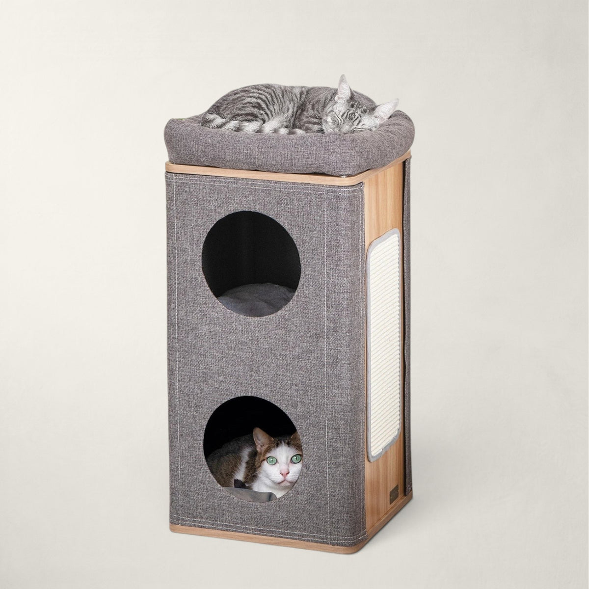 Arbre à chat design moderne - Bofélin - 5