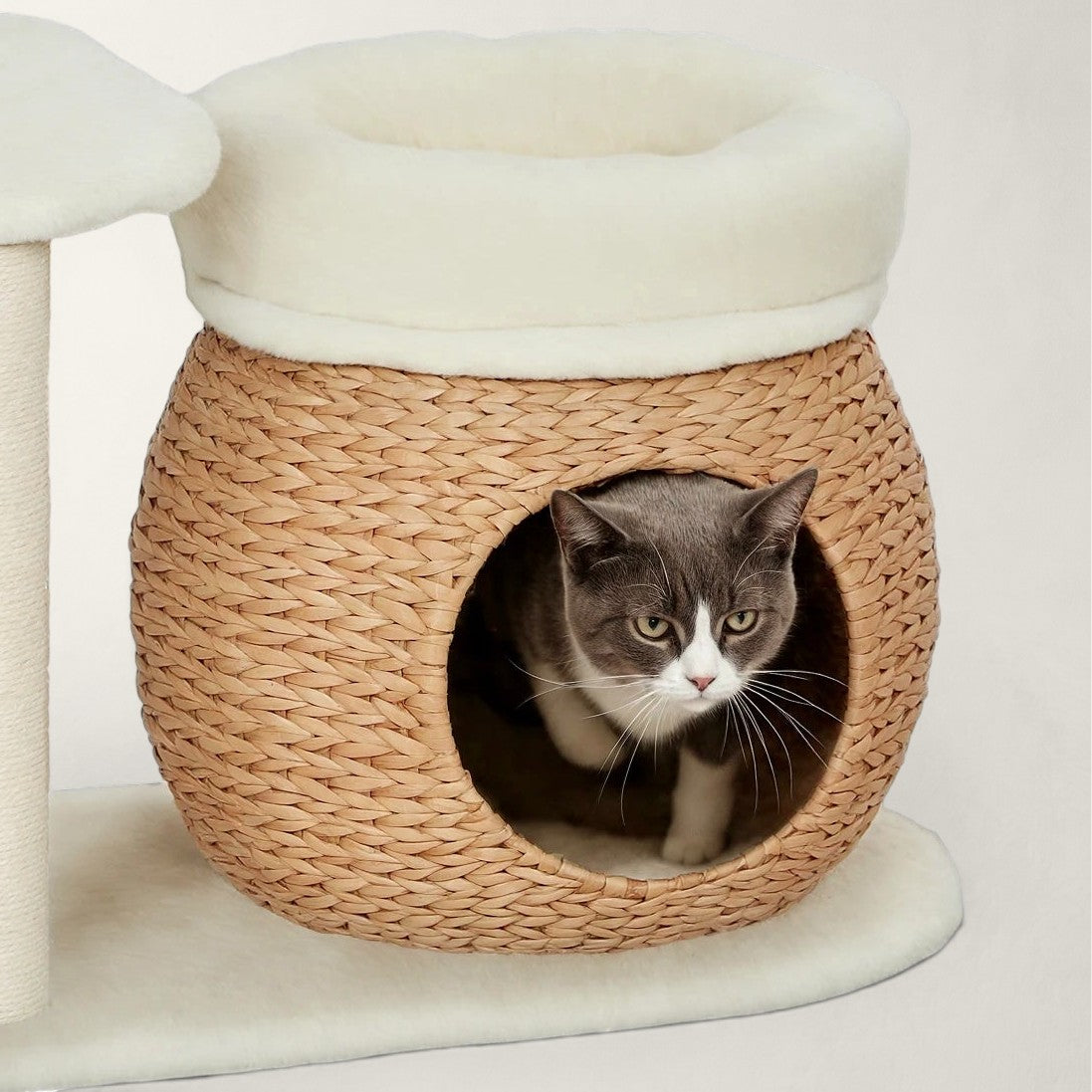 Arbre à chat design scandinave - Bofélin - 5