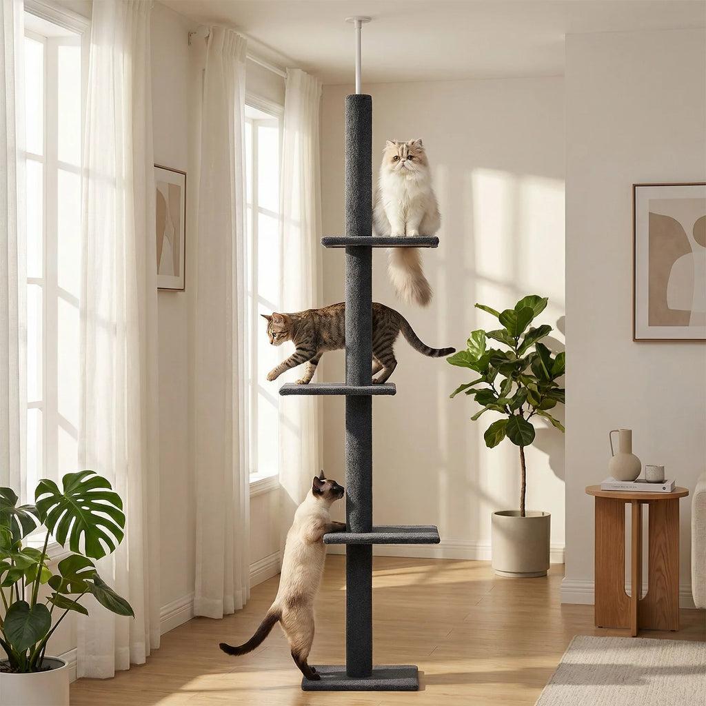 Arbre à chat du sol au plafond - Bofélin - 2