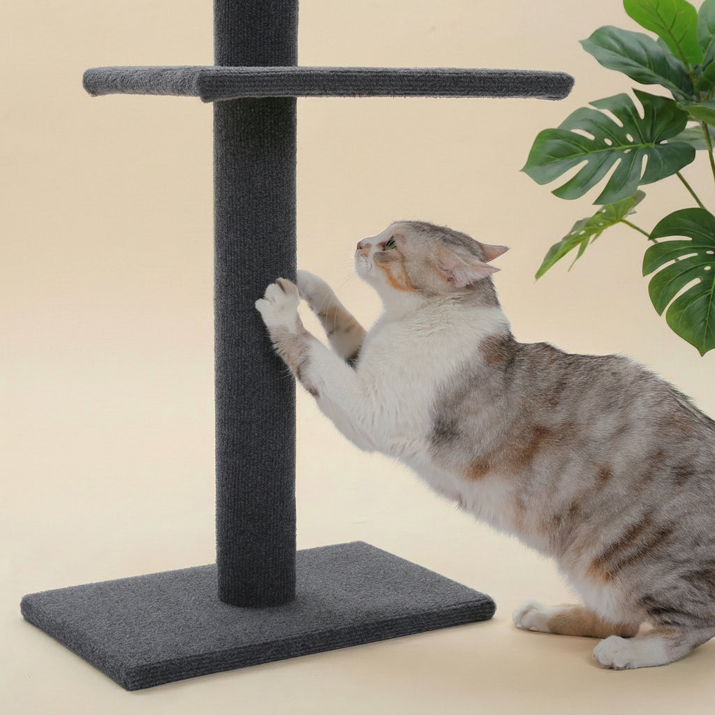 Arbre à chat du sol au plafond