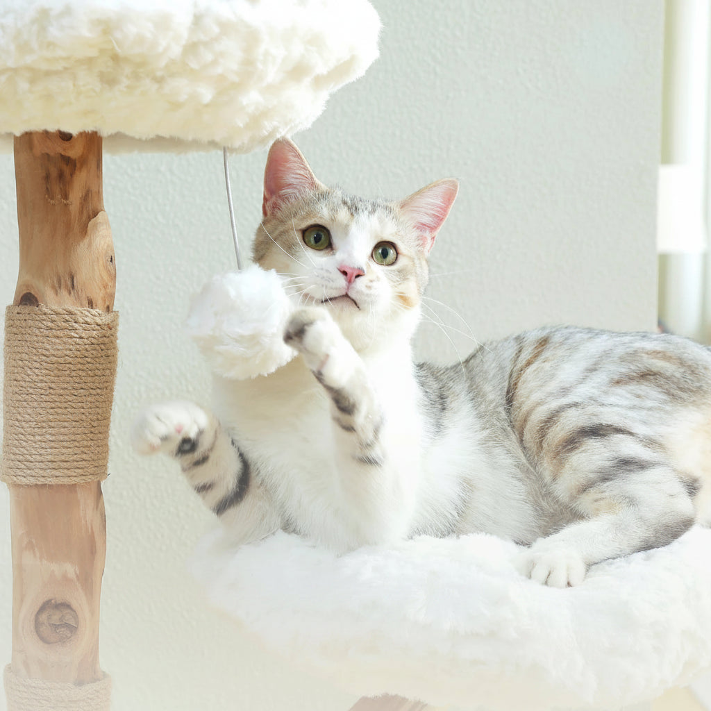 Arbre à chat en bois brut