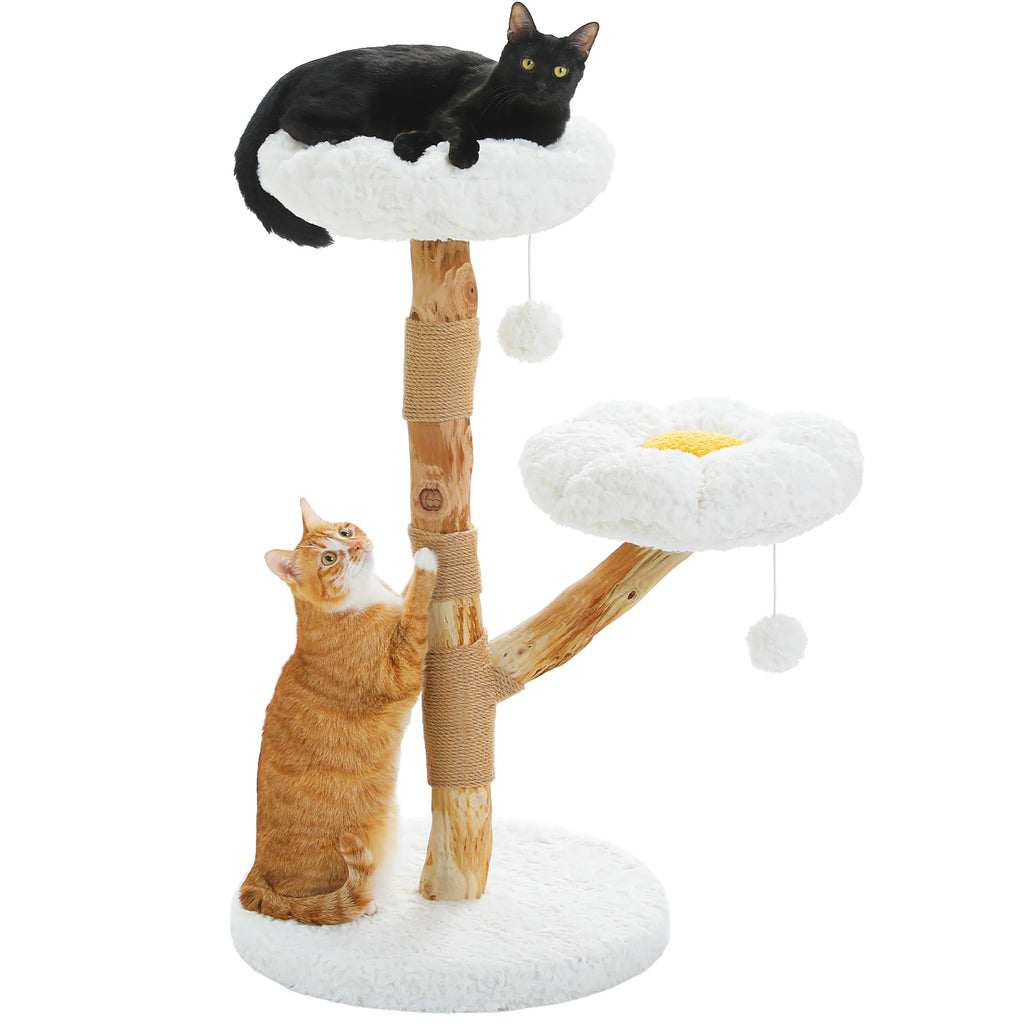 Arbre à chat en bois brut - Bofélin - 9