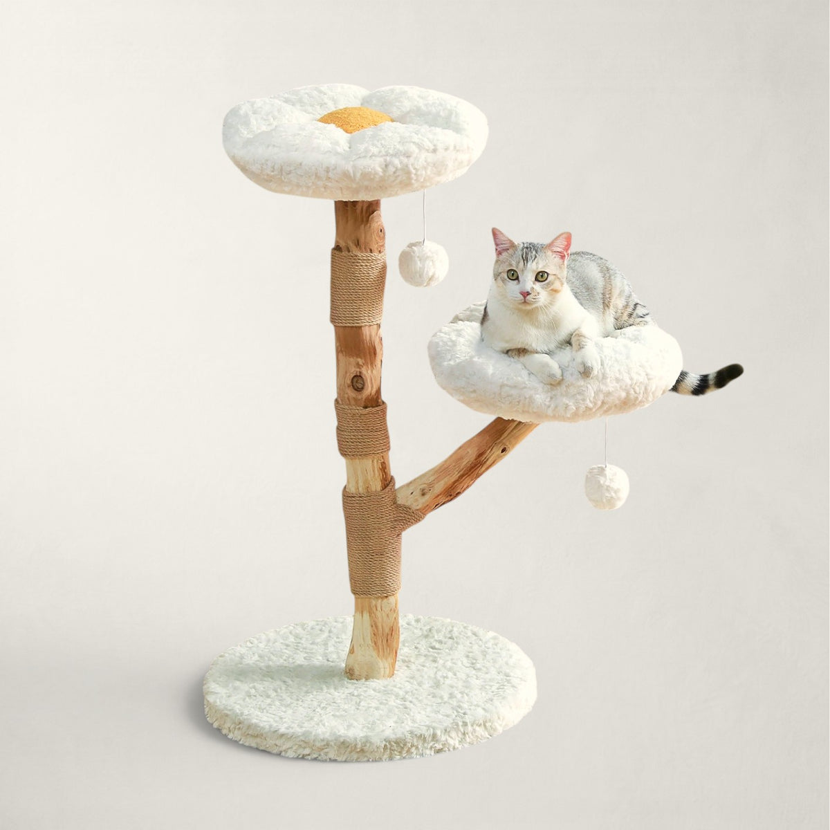 Arbre à chat en bois brut - Bofélin - 6