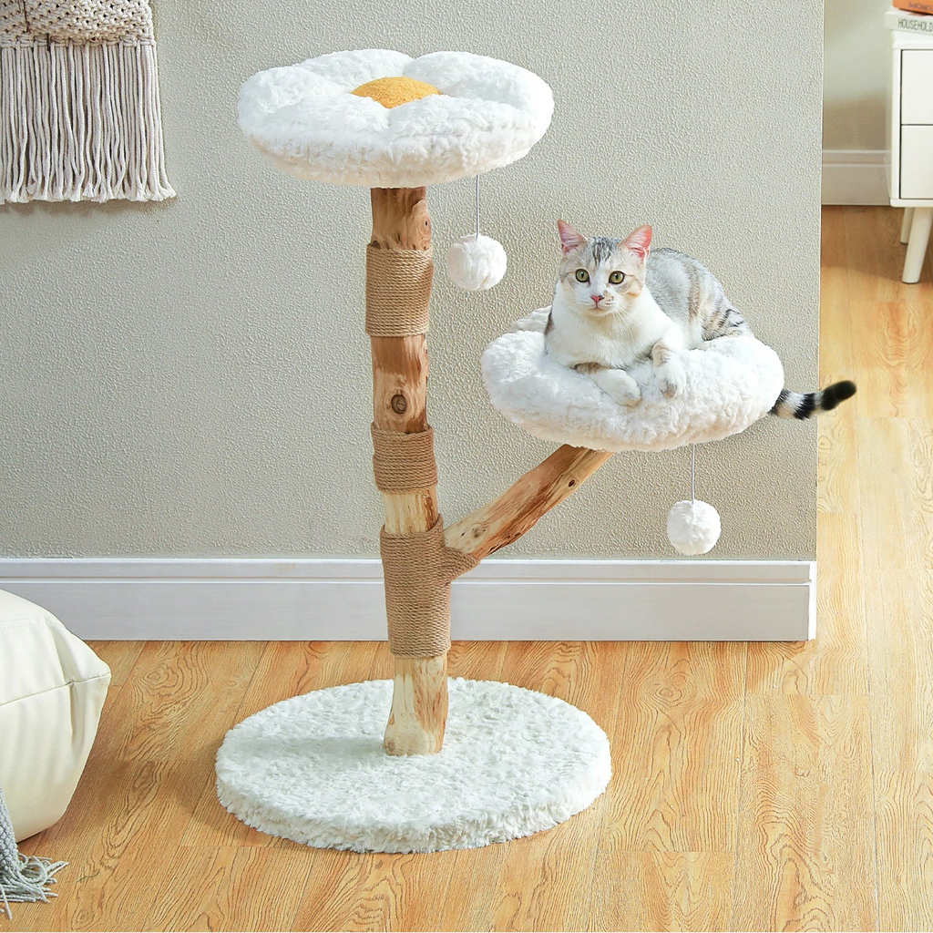 Arbre à chat en bois brut - Bofélin - 6