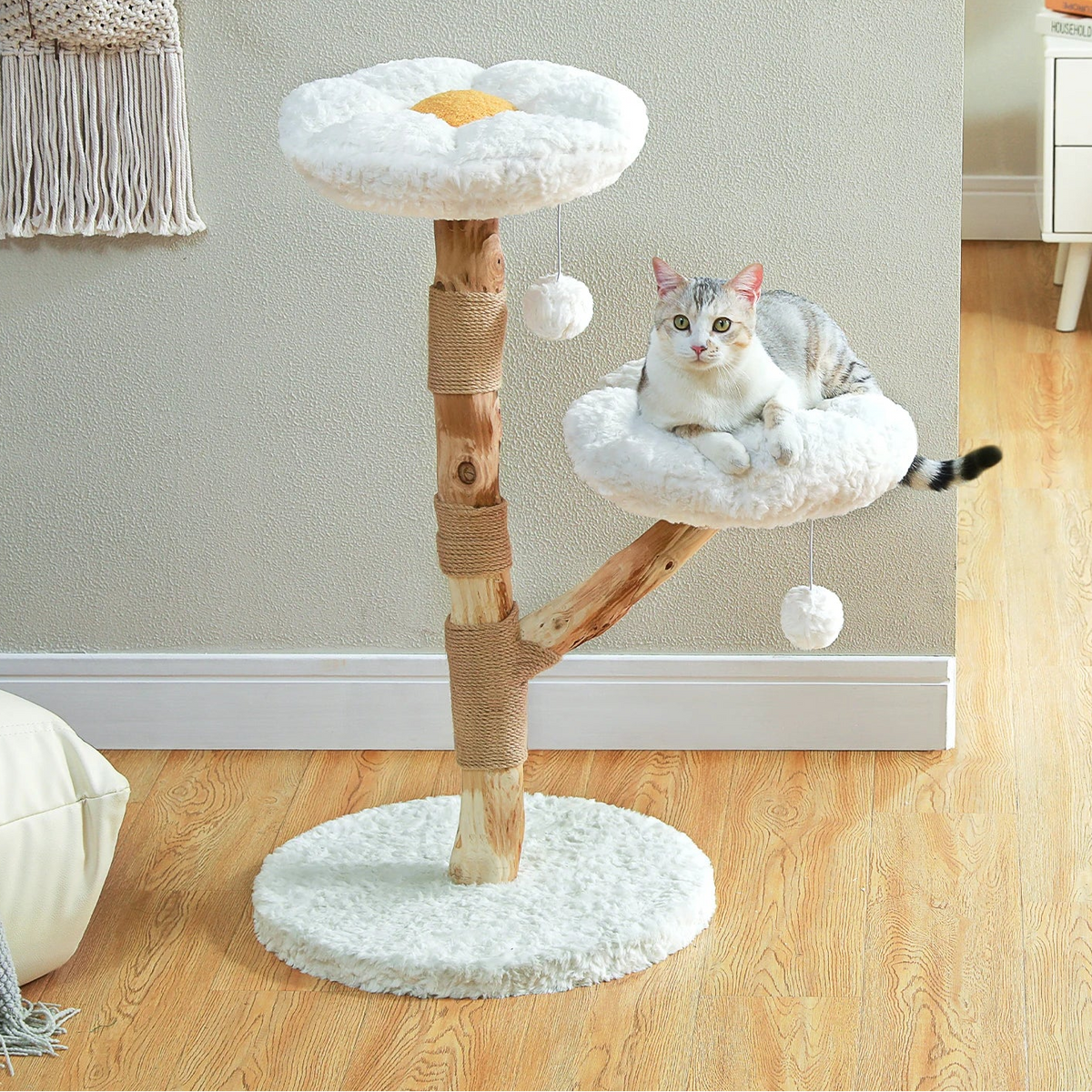 Arbre à chat en bois brut