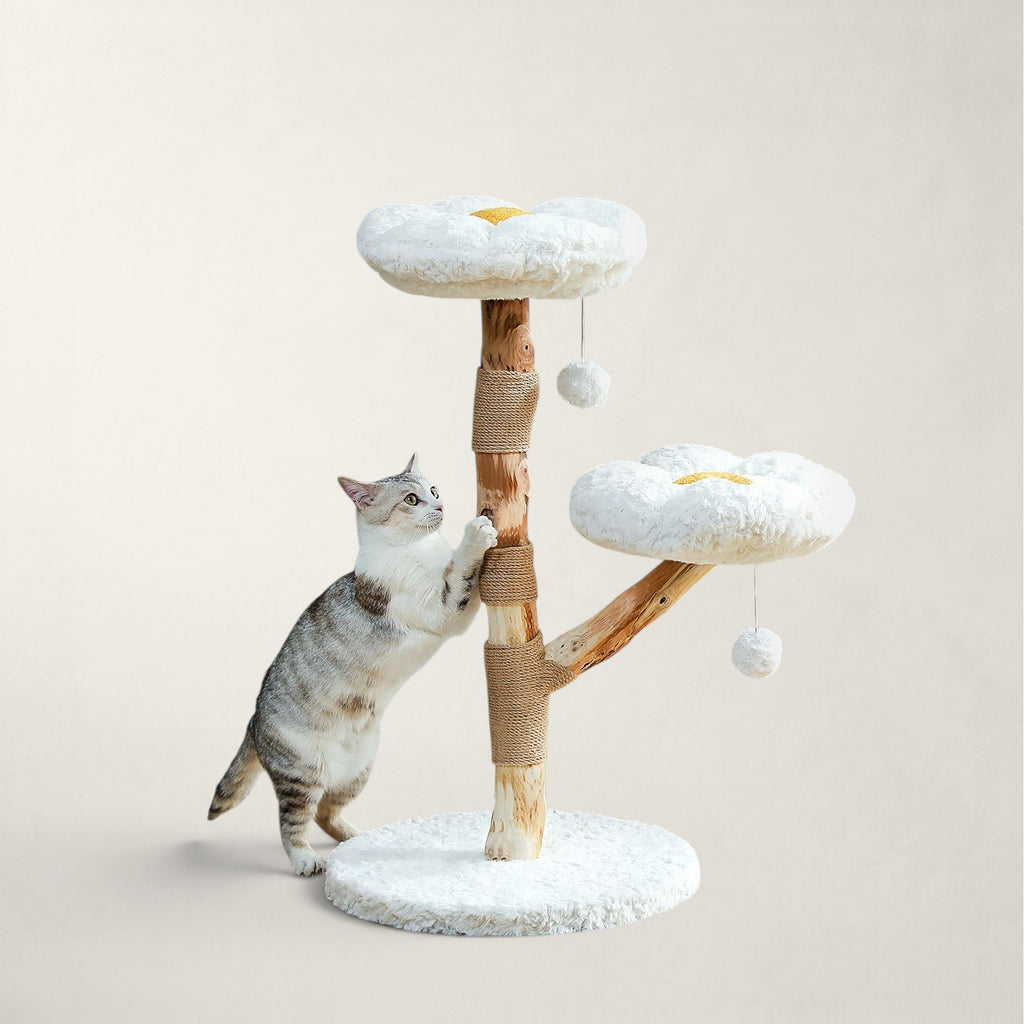 Arbre à chat en bois brut - Bofélin - 7