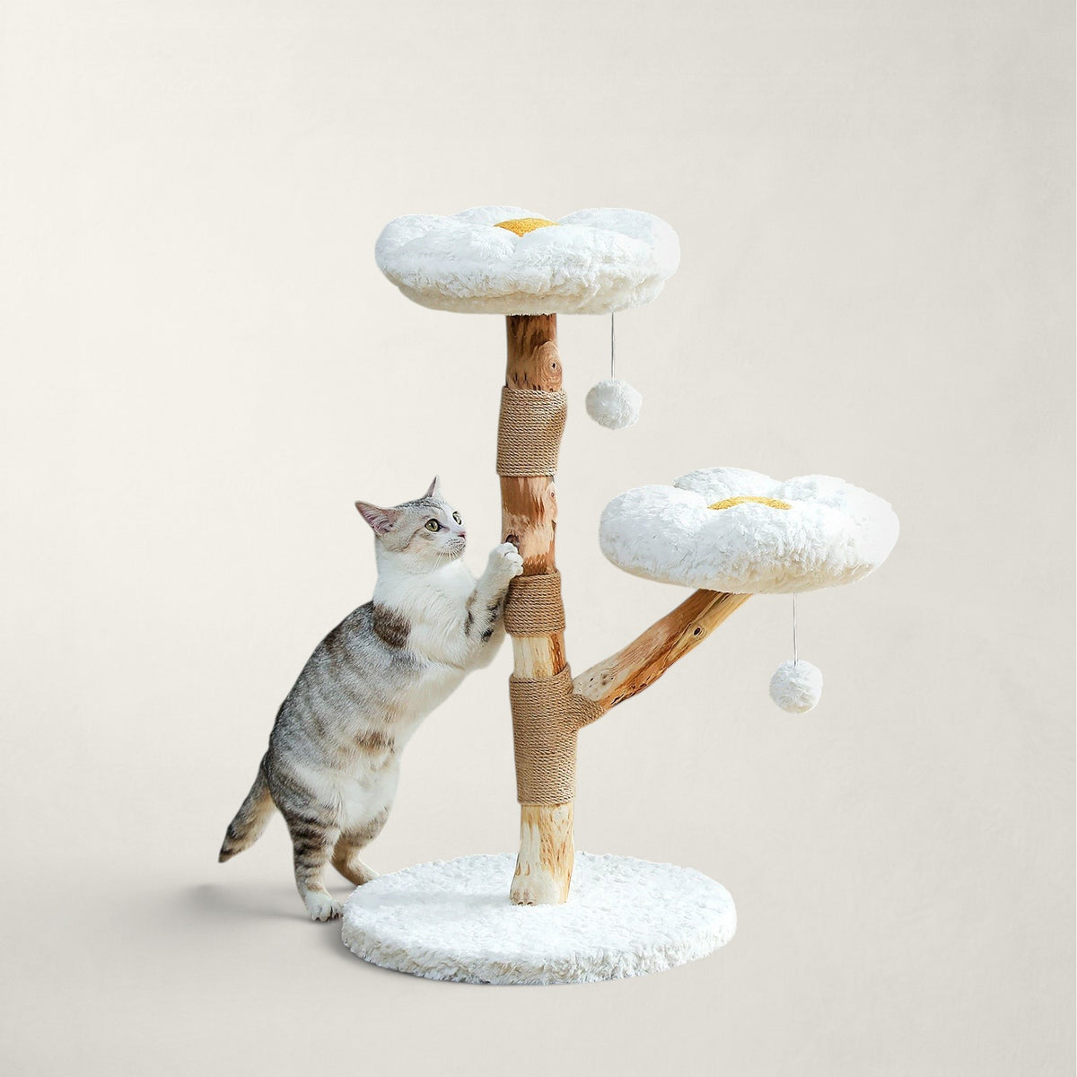 Arbre à chat en bois brut - Bofélin - 7