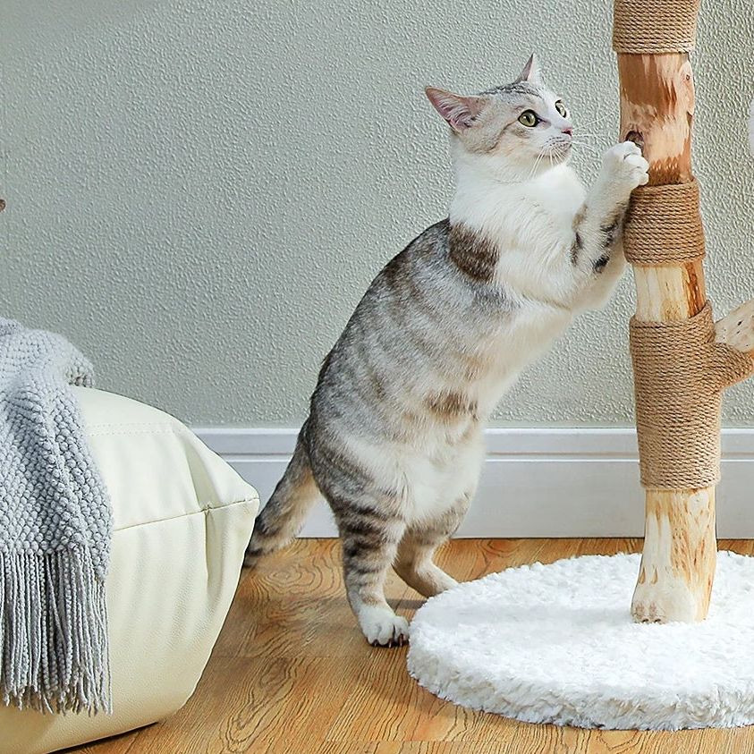Arbre à chat en bois brut - Bofélin - 3