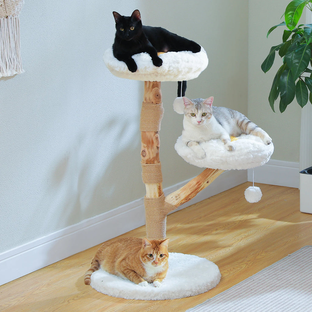 Arbre à chat en bois brut - Bofélin - 8