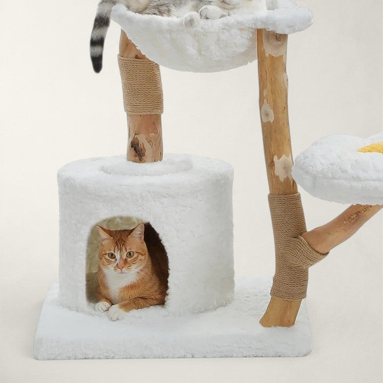 Arbre à chat en bois fleurs XXL - Bofélin - 5