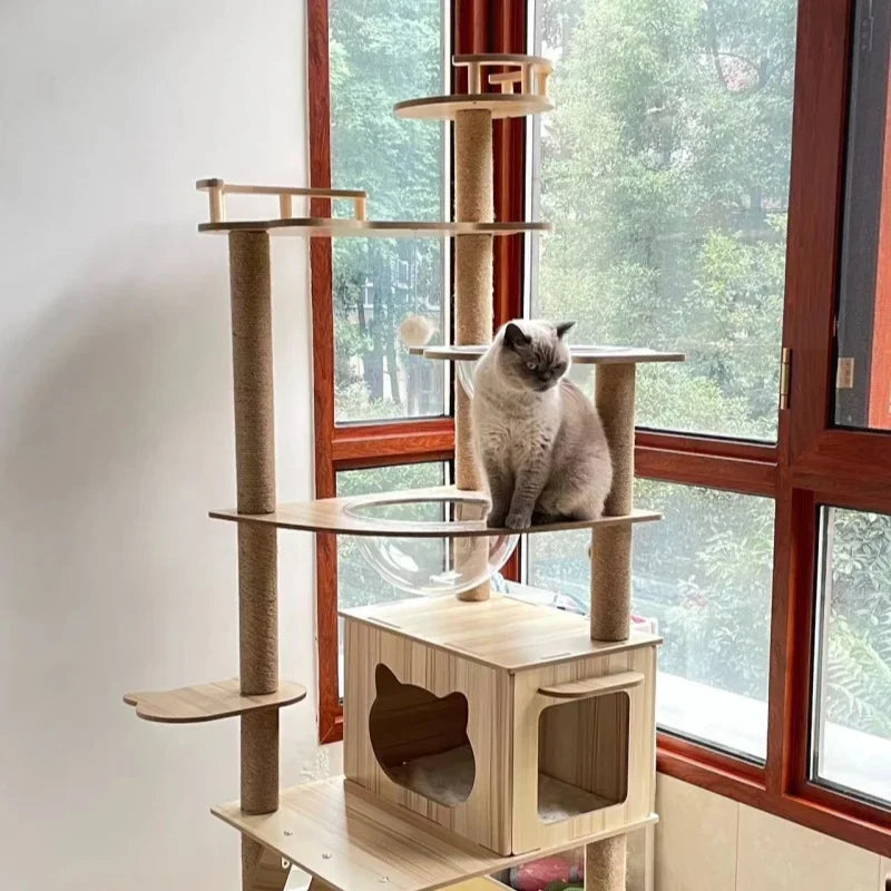 Arbre à chat en bois grand modèle - Bofélin - 2