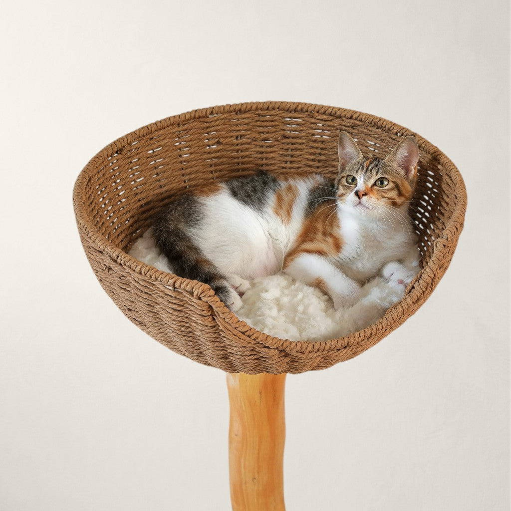 Arbre à chat en bois massif - Bofélin - 3